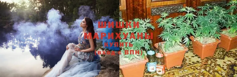 Канабис Ganja  Опочка 